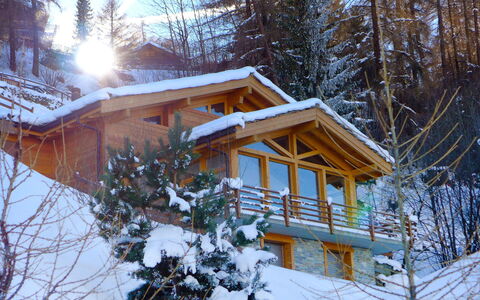 Chalet Arvine: Building, Snow, Window, Plant, Sky, Tree, Wood, House, Branch, Larch