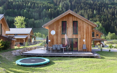 Superior # 15 mit Ir-Sauna & Sprudelbad: Plant, Property, Building, Tree, Wood, House, Window, Grass, Landscape, Natural Landscape