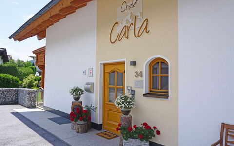 Carla: Plant, Flower, Property, Building, Flowerpot, Houseplant, Wall, House, Sky, Flooring