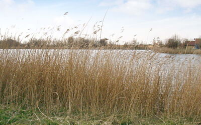 Otterndorf