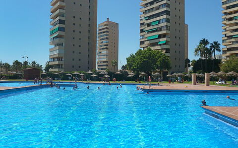 Playamar: Water, Building, Sky, Property, Daytime, Skyscraper, Plant, Swimming Pool, Blue, Tree