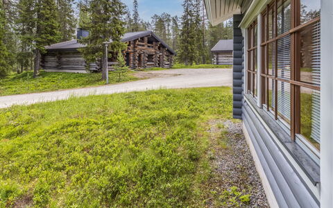 Kaukonraitti 4 C 2: Tree, Home, Roof, Cottage, House, Landscape, Land Lot, Rural Area, Groundcover