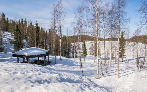 Mustalampi 2 Kurkiaura: Snow, Winter, Tree, Branch, Natural Environment, Wood, Landscape, Freezing, Forest, Hill Station