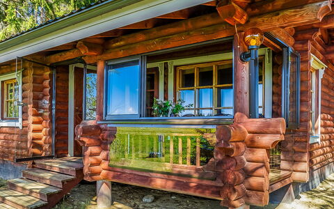 Huvilakoti 2: Wood, Cottage, Log Cabin, Forest, Shed, Garden Buildings, Larch, Woodland, Wood Stain