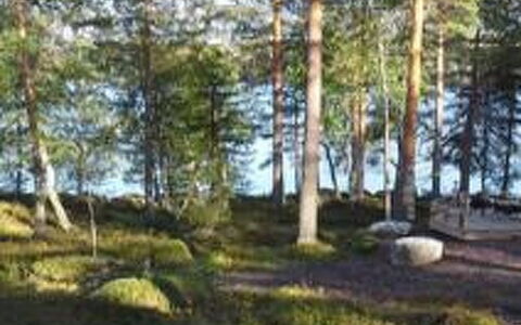 Louhiranta: Tree, Bank, House, Cottage, Lake, Pond, Forest, Log Cabin