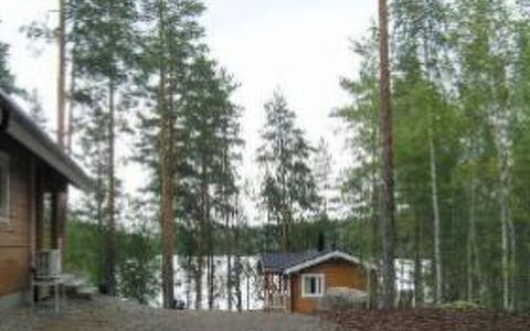 Louhiranta: Tree, Bank, House, Cottage, Lake, Pond, Forest, Log Cabin