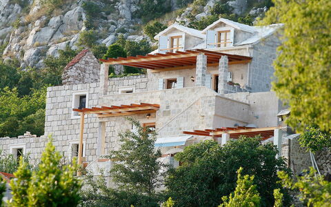 Juraj: Plant, Building, Window, House, Tree, Vegetation, Natural Landscape, Biome, Real Estate, Rural Area