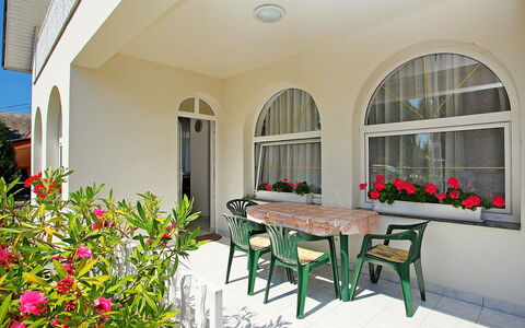 Goliath: Flower, Plant, Furniture, Window, Table, Building, Door, Chair, Flowerpot, Petal