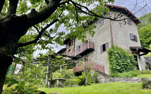 Cà del Fritz: Plant, Building, Property, Window, Nature, Tree, Natural Landscape, Botany, Vegetation, House