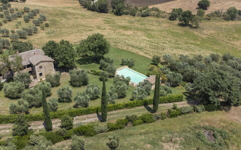 Casa Frati: Plant, Plant Community, Natural Landscape, Tree, Land Lot, Highland, Vegetation, Grass, Grassland, Plain