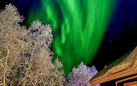 Tunturikuksa: Wood, Cottage, Log Cabin, Forest, Shed, Garden Buildings, Larch, Woodland, Wood Stain