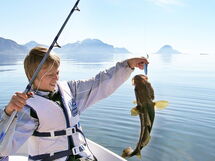 Lofoten 1
