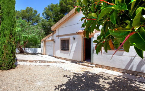 Villa Palma: Plant, Building, Sky, Tree, Window, House, Cottage, Wood, Road Surface, Real Estate