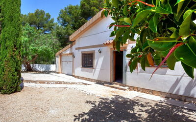 Villa Palma