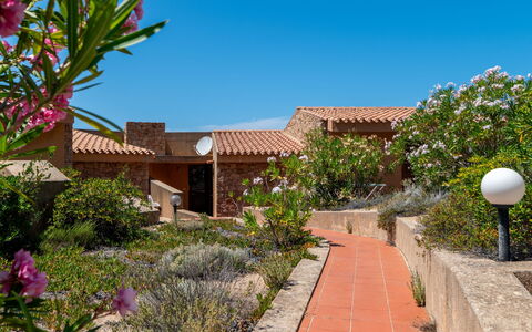 Costa Paradiso 450: Sky, Plant, Daytime, Property, Flower, Building, Biome, Leisure, Window, Real Estate