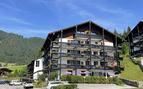 Berchtesgaden 300: Plant, Furniture, Property, Window, Chair, Building, Wood, Lighting, Flowerpot, Architecture