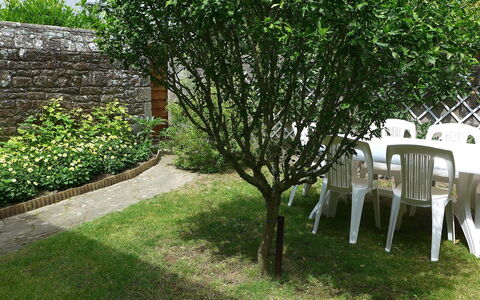 Pasteur: Plant, Land Lot, Natural Landscape, Grass, Woody Plant, Shade, Shrub, Chair, Groundcover, Landscape