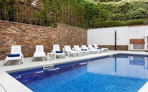 Palmbeach: Water, Property, Plant, Swimming Pool, Azure, Tree, Outdoor Furniture, Chair, Umbrella, Shade