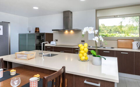 Palmbeach: Cabinetry, Countertop, Property, Furniture, Sink, Kitchen Sink, Window, Kitchen, Kitchen Stove, Interior Design