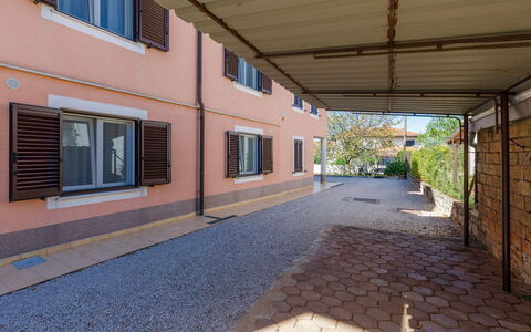 Bruno: Property, Window, Building, Road Surface, Shade, Wood, Plant, Brick, Wall, Asphalt