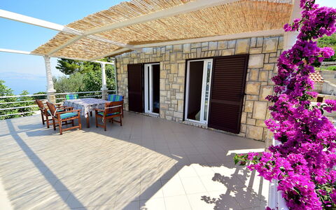 Parunov: Flower, Property, Plant, Building, Sky, Shade, Table, Flowerpot, Chair, Wood