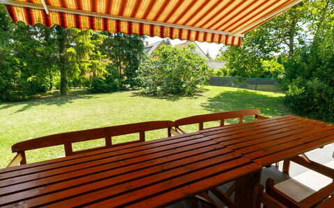 Picea: Property, Plant, Botany, Wood, Shade, Outdoor Furniture, Leisure, Tints And Shades, Hardwood, Tree
