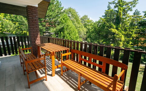 Picea: Sky, Property, Building, Wood, Tree, Shade, Outdoor Furniture, Architecture, Plant, Natural Landscape
