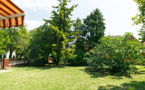 Picea: Plant, Sky, Cloud, Natural Landscape, Building, Land Lot, Tree, Shade, Evergreen, Real Estate