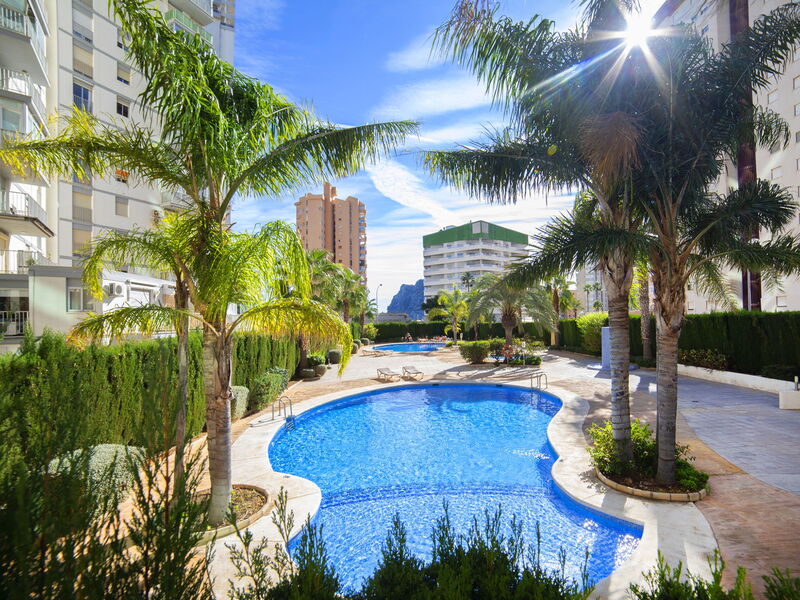 Accommodation:&nbsp;Esmeralda Suites 315.5