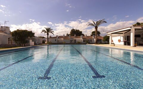 Salvagina 53: Sky, Water, Cloud, Plant, Swimming Pool, Light, Azure, Tree, Arecales, Body Of Water