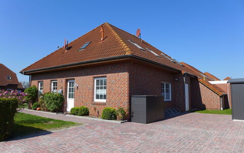 Martina: Sky, Building, Plant, Window, House, Road Surface, Land Lot, Wood, Door