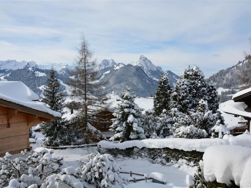 Hivernants le Premier