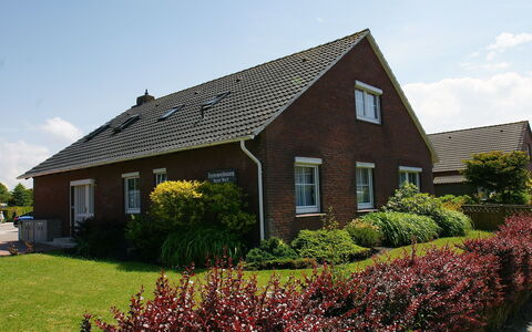 Norddeich 781: Plant, Sky, Cloud, Building, Window, Property, Flower, House, Botany, Vegetation