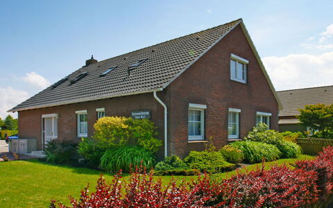 Norddeich 781: Plant, Sky, Flower, Cloud, Window, Building, House, Tree, Land Lot, Vegetation