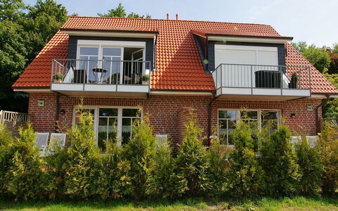 Norddeich 803: Plant, Sky, Building, Window, Tree, Wood, House, Vegetation, Land Lot, Cottage