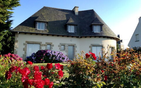 Les Rimains: Flower, Plant, Building, Window, Sky, Property, House, Vegetation, Grass, Tree
