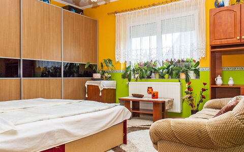 Colore: Plant, Property, Cabinetry, Furniture, Building, Window, Houseplant, Comfort, Interior Design, Decoration