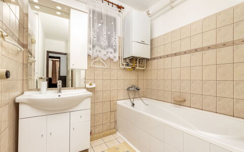 Sunny: Plumbing Fixture, Bathtub, Tap, Mirror, Sink, Property, Bathroom Cabinet, Bathroom Sink, Green, Bathroom