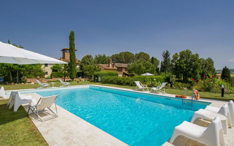 Aurelia: Water, Sky, Swimming Pool, Furniture, Plant, Azure, Tree, Sunlounger, Chair, Outdoor Furniture
