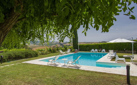 Aurelia: Water, Plant, Swimming Pool, Azure, Shade, Tree, Outdoor Furniture, Sky, Body Of Water, Grass