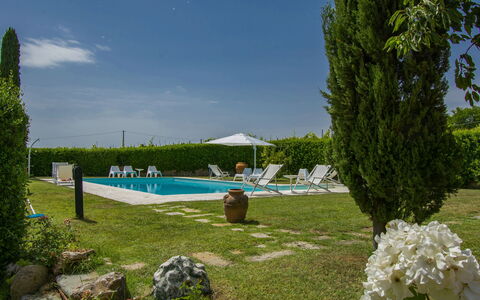 Aurelia: Plant, Water, Sky, Swimming Pool, Umbrella, Tree, Flower, Cloud, Grass, Shade