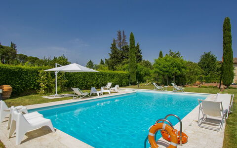 Aurelia: Water, Plant, Property, Sky, Swimming Pool, Nature, Azure, Tree, Outdoor Furniture, Shade