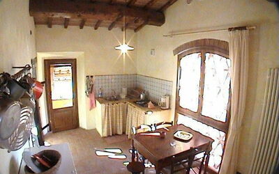 Ginestra