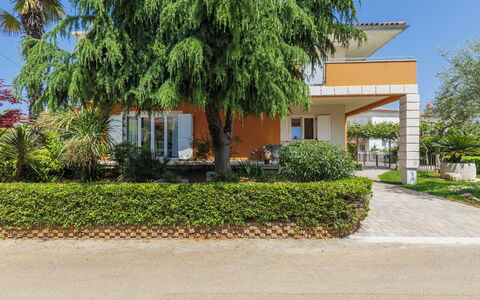 Umag 119: Plant, Building, Leaf, Sky, Tree, Land Lot, House, Grass, Window, Arecales