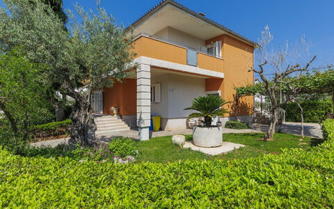 Umag 119: Plant, Building, Property, Sky, Nature, Botany, House, Vegetation, Land Lot, Tree