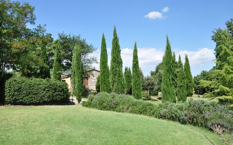 Le Querce Di Campocane: Tree, Grass, Garden, Thuya, Shrub, Lawn, Plant, Botanical Garden, Property, Woody Plant