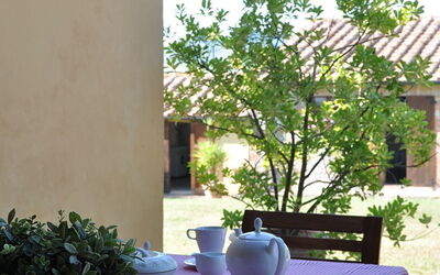 Accommodation:&nbsp;Rufeno