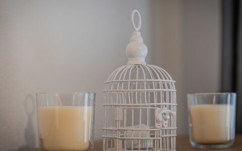 Morthey 3: Lighting, Ingredient, Serveware, Food, Tableware, Drink