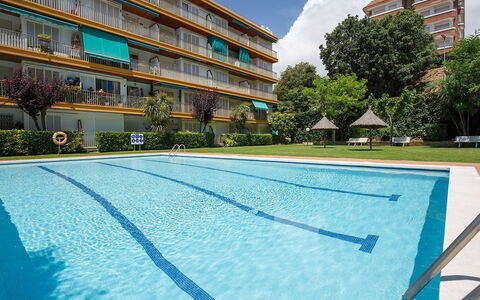 Buenos Aires: Building, Plant, Daytime, Property, Cloud, Sky, Window, Swimming Pool, Azure, Tree