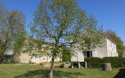 Les Tilleuls